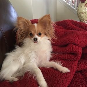 Meet your Posher, Condy